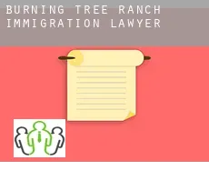 Burning Tree Ranch  immigration lawyer