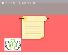 Burts  lawyer