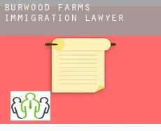 Burwood Farms  immigration lawyer