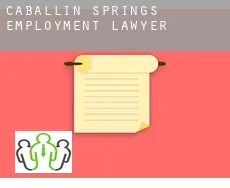 Caballin Springs  employment lawyer