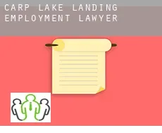 Carp Lake Landing employment lawyer