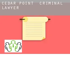 Cedar Point  criminal lawyer