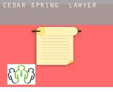 Cedar Spring  lawyer