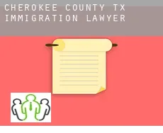 Cherokee County  immigration lawyer