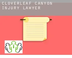 Cloverleaf Canyon  injury lawyer