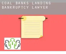 Coal Banks Landing  bankruptcy lawyer