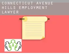Connecticut Avenue Hills  employment lawyer