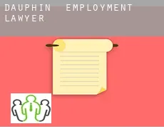Dauphin  employment lawyer
