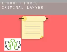 Epworth Forest  criminal lawyer