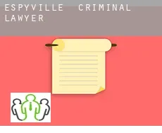 Espyville criminal lawyer