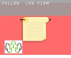 Fallon  law firm