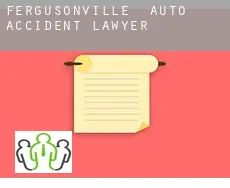 Fergusonville  auto accident lawyer
