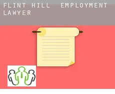 Flint Hill  employment lawyer