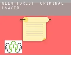Glen Forest  criminal lawyer
