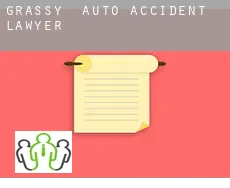Grassy  auto accident lawyer
