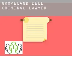 Groveland Dell  criminal lawyer