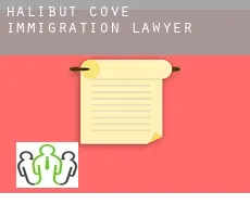 Halibut Cove  immigration lawyer