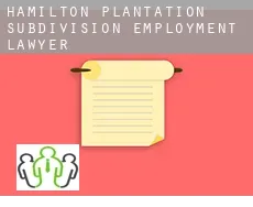 Hamilton Plantation Subdivision  employment lawyer