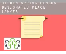 Hidden Spring  lawyer