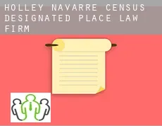 Holley Navarre law firm