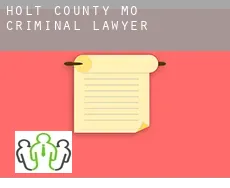 Holt County  criminal lawyer