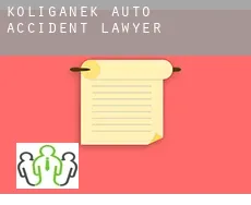 Koliganek auto accident lawyer