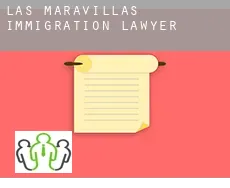 Las Maravillas  immigration lawyer