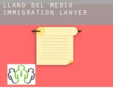 Llano Del Medio  immigration lawyer