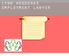 Lynn Woodoaks  employment lawyer