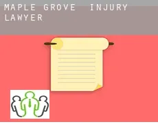 Maple Grove  injury lawyer