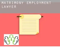 Matrimony  employment lawyer
