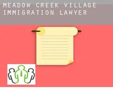 Meadow Creek Village  immigration lawyer