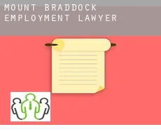 Mount Braddock  employment lawyer