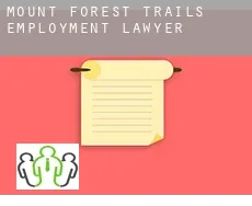 Mount Forest Trails  employment lawyer