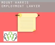 Mount Harris  employment lawyer