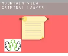 Mountain View criminal lawyer