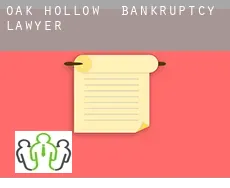Oak Hollow  bankruptcy lawyer