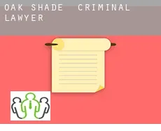 Oak Shade criminal lawyer