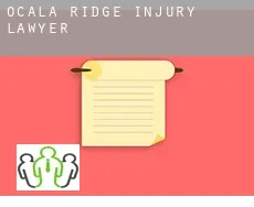 Ocala Ridge  injury lawyer