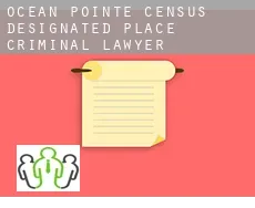 Ocean Pointe  criminal lawyer