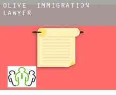 Olive  immigration lawyer