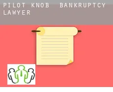 Pilot Knob  bankruptcy lawyer