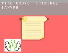 Pine Grove  criminal lawyer