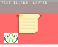 Pine Island lawyer