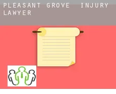 Pleasant Grove  injury lawyer