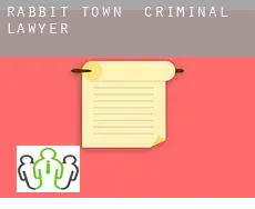 Rabbit Town  criminal lawyer