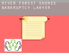 River Forest Shores  bankruptcy lawyer