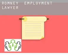 Romney  employment lawyer
