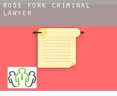 Ross Fork  criminal lawyer