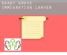 Shady Grove immigration lawyer